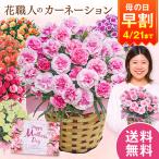  скидка за ранний заказ День матери подарок цветок 2026 предварительный заказ подарок гвоздика цветок горшок растение в горшке чай party 5 номер День матери период доставка [ бесплатная доставка ]