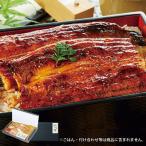 ショッピングうなぎ 国産 うなぎ 蒲焼き 長焼き 国産 母の日 お中元 御中元 うなぎ蒲焼き うなぎ割烹一愼 うなぎ蒲焼 110ｇ 2袋 2026 母の日期間お届け 【送料無料】