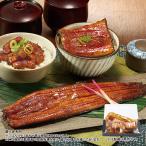 うなぎ 蒲焼き 長焼き 国産 お中元 御中元 愛知県産 うなぎ蒲焼 お楽しみ 3点 セット ギフト プレゼント 2026 【送料無料】