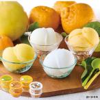 お中元 アイス シャーベット スイーツ お菓子 洋菓子 高知アイス 柑橘セット 4種 計8個 御中元 ギフト プレゼント 2026 【送料無料】