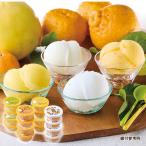お中元 アイス スイーツ お菓子 洋菓子 高知アイス 柑橘セット 4種 計16個 御中元 ギフト プレゼント 2026 【送料無料】