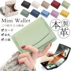 ミニ財布 レディース コンパクト 収納力 小銭 コンパクトミニ財布 手のひらに収まる可愛らしいサイズ感が魅力 お札入れも小銭入れもついてます よく使うカードは
