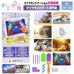 手芸時間 ダイヤモンドアート キット 猫 豪華付属品 日本企画 ライセンス取得品 150種類展開 四角 丸ビーズ 5D 初心者 ネコ ねこ 30×40cm 人気脳活雑誌掲載