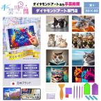 手芸時間 ダイヤモンドアート キット 猫 豪華付属品 日本企画 ライセンス取得品 150種類展開 四角 丸ビーズ 5D 初心者 ネコ ねこ 30×40cm 人気脳活雑誌掲載