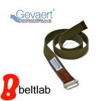 ゴムベルト メンズ レディース ベルト ゴム 伸びる ゴルフ ウェストマーク ゲバルト GEVAERT