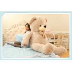 クマ　ぬいぐるみ 　熊　くま　４種類　クリスマス　誕生日　プレゼント　ギフト　彼女　抱き枕　おもしろクッション