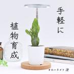 植物育成用LEDライト　「オロハライト」 〜oroha light〜　植物育成に適したLEDライト　コンパクトで、タイマー付き　２色のカラーでインテリアを演出