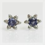 リリウム・ルベルム アイオライトピアス PT900 K18 K10対応