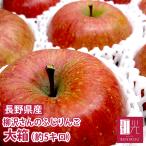[ предварительный заказ *11 месяц 25 день ( огонь ) из поступление начало предположительно ] Nagano производство .. яблоко большой коробка ( примерно 5kg примерно 10-20 шт ).. san. низкий пестициды культивирование .... яблоко [ Hokkaido * Okinawa. +1100 иен ] меласса ввод 