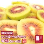 【販売終了間近！】静岡産 レインボーレッドキウイ 中箱 （約14〜21個入） キウイフルーツ 果物 フルーツ ギフト 贈答