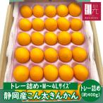 【予約・1/29（木）から順次出荷開始】こん太きんかん (M〜4Lサイズ)トレー詰め (400g)  「北海道・沖縄は送料＋1100円」 金柑