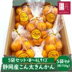 【予約・1/29（木）から順次出荷開始】こん太きんかん (M〜4Lサイズ) 5袋セット(約750g) 「北海道・沖縄は送料＋1100円」 金柑 きんかん こん太