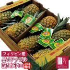 パイナップル パイン フィリピン産 約12kg（6〜7本） 葉付き 「北海道・沖縄は+1100円」 果物 フルーツ