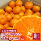 [ предварительный заказ *12 месяц средний . примерно из последовательный отгрузка начало предположительно ]...... все мульти- культивирование мандарин маленький коробка примерно 1.5kg [ Hokkaido * Okinawa. +1100 иен ]mi can меласса . Yokosuka мандарин 