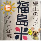 令和5年産 低温管理で品質バッチリ　令和5年産 福島県会津 里山のつぶ 1等 玄米10kg 選別済み 精米無料