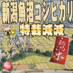 令和6年産 新潟魚沼コ