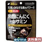 医食同源ドットコム 黒酢にんにく＋セサミン 90粒 RICH メール便送料無料