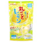 今岡製菓 おいしさギュ〜ッと丸ごとレモン 15g×9本入