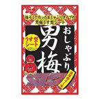 ノーベル おしゃぶり男梅シート 10g