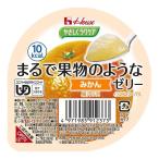 やさしくラクケア まるで果物のようなゼリー みかん 60g