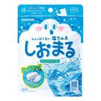 しおまる ひんやりサイダー味 30g