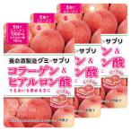 養命酒製造 グミ×サプ