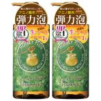 ハニープラス スムース＆リペアシャンプー 500mL×2本セット 送料無料