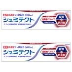 シュミテクト 歯周病ダブルケア ダブルミント 90g×2個セット 医薬部外品 メール便送料無料