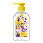 健栄製薬 手ピカジェルプラス 300mL 指定医薬部外品