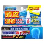 【第(2)類医薬品】ラクピオンH液 30mL