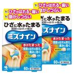 【第2類医薬品】ミズナイン 60錠×2個セット ※セルフメディケーション税制対象商品 メール便送料無料