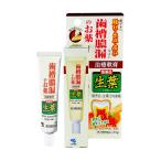 【第3類医薬品】 小林製薬 生葉口内塗薬 20g メール便送料無料