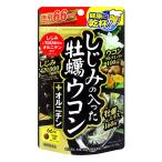 ショッピング牡蠣 井藤漢方 しじみの入った牡蠣ウコン+オルニチン 徳用264粒 メール便送料無料