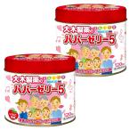 [ no. (2) вид фармацевтический препарат ] папа - желе 5 120 шарик ×2 шт. комплект бесплатная доставка 