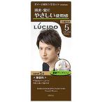 LUCIDO（ルシード） ワンプッシュケアカラー 5 ナチュラルブラウン