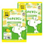  закуска . supplement ZOO мульти- витамин 40 шарик ×2 шт. комплект почтовая доставка бесплатная доставка 