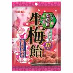 生梅飴 90g