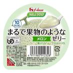 やさしくラクケア まるで果物のようなゼリー メロン 60g