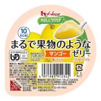 やさしくラクケア まるで果物のようなゼリー マンゴー 60g