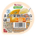 やさしくラクケア まるで果物のようなゼリー みかん 60g