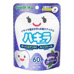  bean Star k - kila голубика 60 шарик 