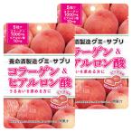 養命酒製造 グミ×サプ