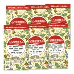 【第2類医薬品】八味地黄丸エキス顆粒 2.5g×24包×6個セット