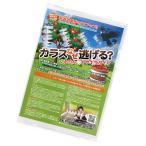 JX悯 ΍ JXȂH LL^Cv 20Zbg JX JX悯 JX  ObY JX悯 ΍  |Cgp