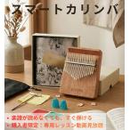  айва китайская ba натуральное дерево производства 17 звук 21 звук начинающий комплект style закон завершено родители палец фортепьяно смартфон подставка имеется введение человек тюнинг завершено сопутствующие предметы имеется японский язык инструкция подарок подарок 