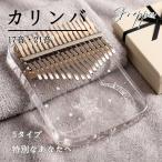  айва китайская ba.. фортепьяно акрил 17 звук 21 звук Sam фортепьяно начинающий комплект детский для взрослых введение человек style закон завершено сопутствующие предметы имеется японский язык инструкция имеется музыкальные инструменты .. хобби подарок 