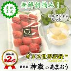 いちご ミルク 苺 福岡 プレゼント ギフト おすすめ 高級 練乳 神激のあまおう フルーツ 送料無料 イチゴ 苺 1パック1個