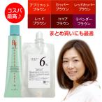 ナプラ アクセスフリー ヘアカラーhb オキシ 100ml セット 女性用 カラーリング剤 白髪染め サロン専用 ヘアカラー剤 業務用