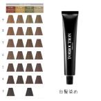 ショッピング白髪染め デミ トイロクション 白髪染め 白髪 女性用 カラーリング剤 サロン専用 ヘアカラー剤 業務用