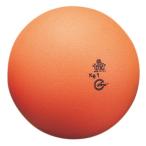 NISHI(ニシ・スポーツ) スローイングボール 1.0kg T5515